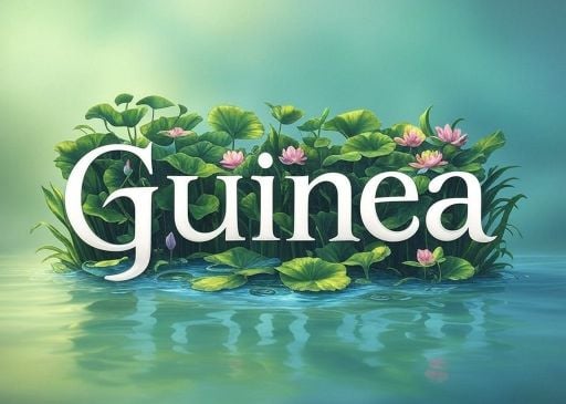 GUINEA - İTHAL